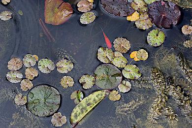 据报道《糖豆人》将在5月10日加入地图编辑器功能